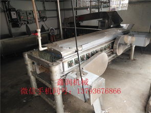 鴿子宰殺脫毛機鑫潤機械生產(chǎn)銷售